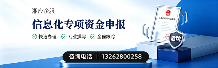 威海信息化专项资金申报服务