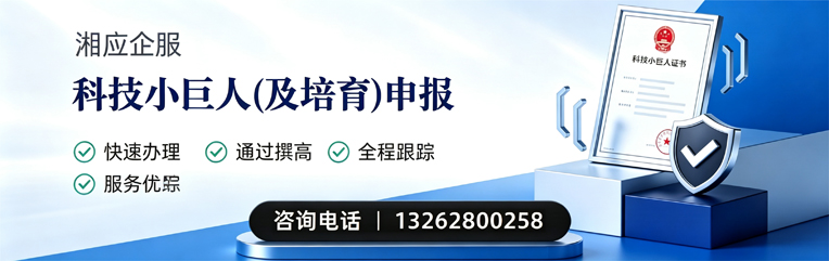 威海科技小巨人及培育企业申报服务