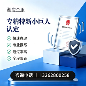 威海专精特新小巨人申报服务