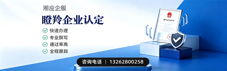 威海瞪羚企业认定申报服务