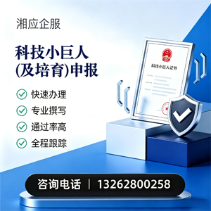 威海科技小巨人及培育企业申报服务