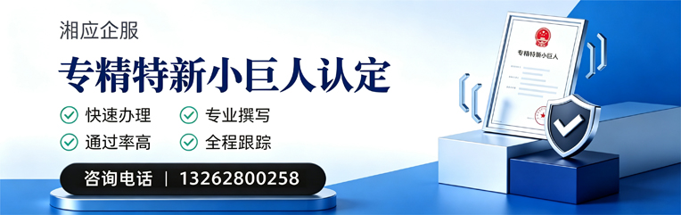 威海专精特新小巨人申报服务